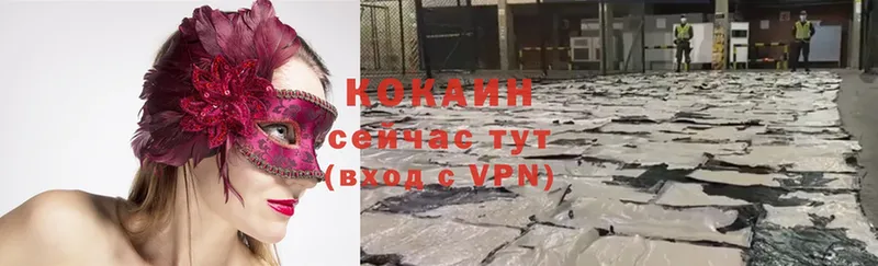 COCAIN Fish Scale  купить наркотики сайты  МЕГА   Кингисепп 