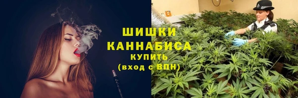 ПСИЛОЦИБИНОВЫЕ ГРИБЫ Вязники