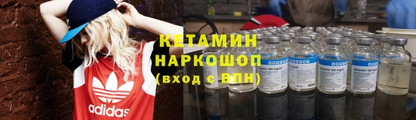 ПСИЛОЦИБИНОВЫЕ ГРИБЫ Вязники